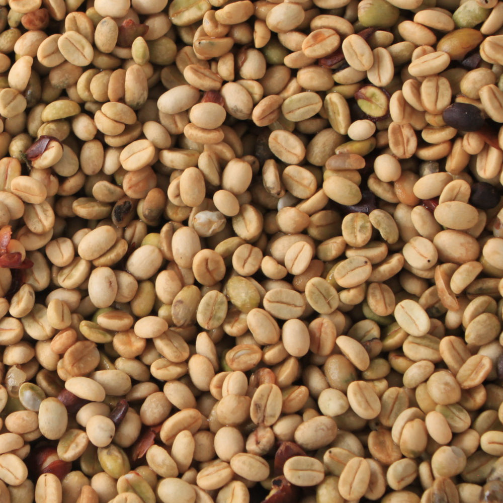 50u CAFE DE LINEA - 240g