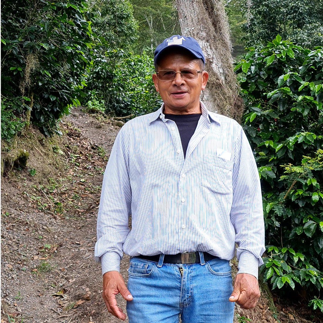 EXOTICO - NATURAL COCO